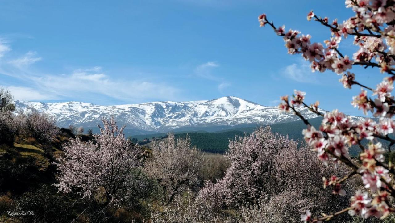Molino De Santa Agueda Villa Jeres del Marquesado Dış mekan fotoğraf