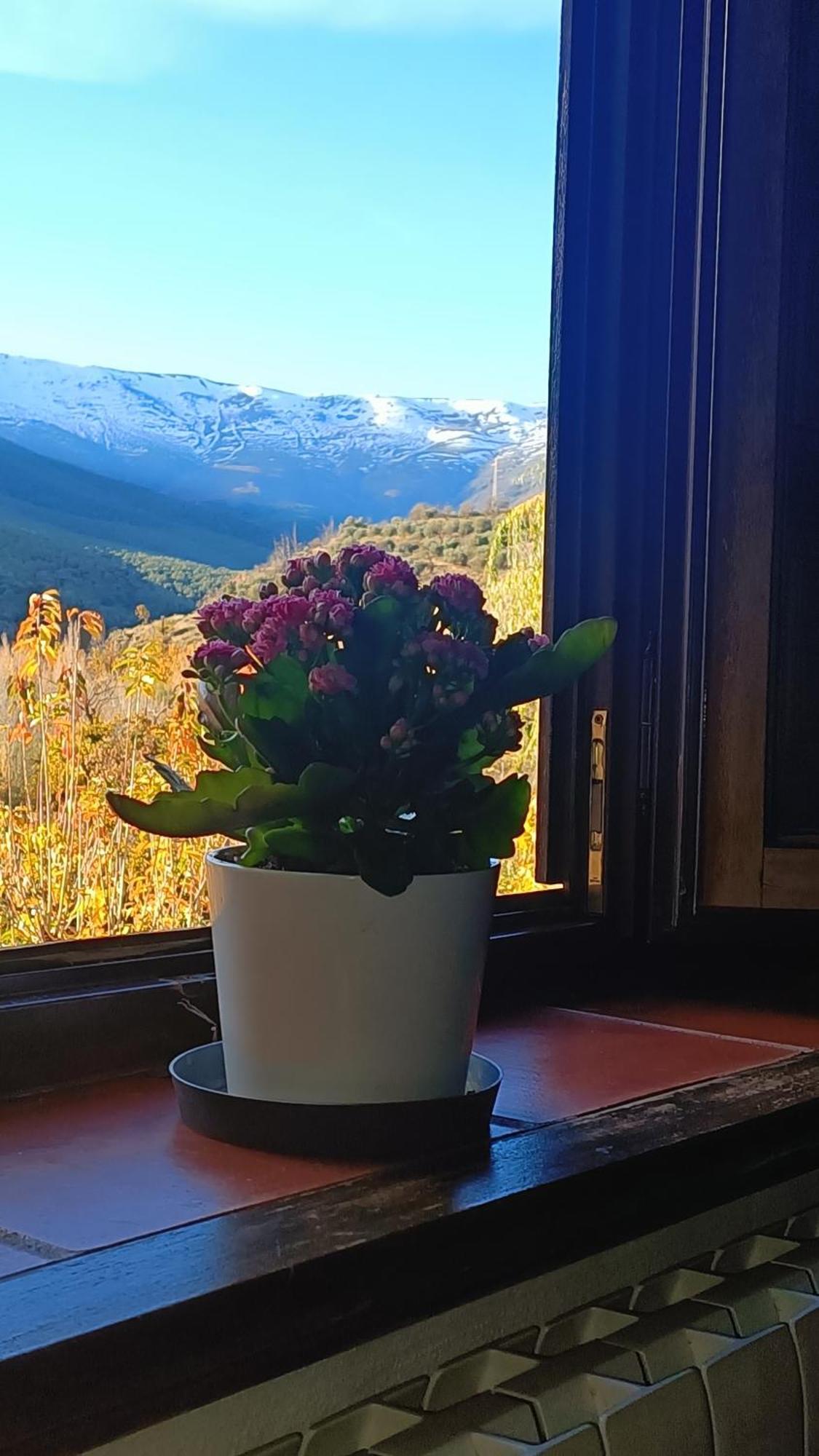 Molino De Santa Agueda Villa Jeres del Marquesado Dış mekan fotoğraf
